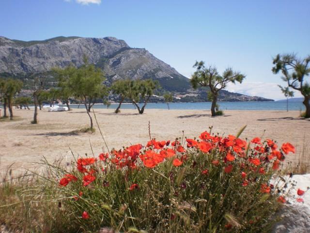Apartment Danka Omiš Kültér fotó